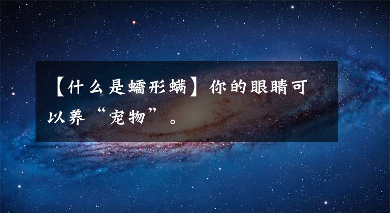 【什么是蠕形螨】你的眼睛可以養(yǎng)“寵物”。