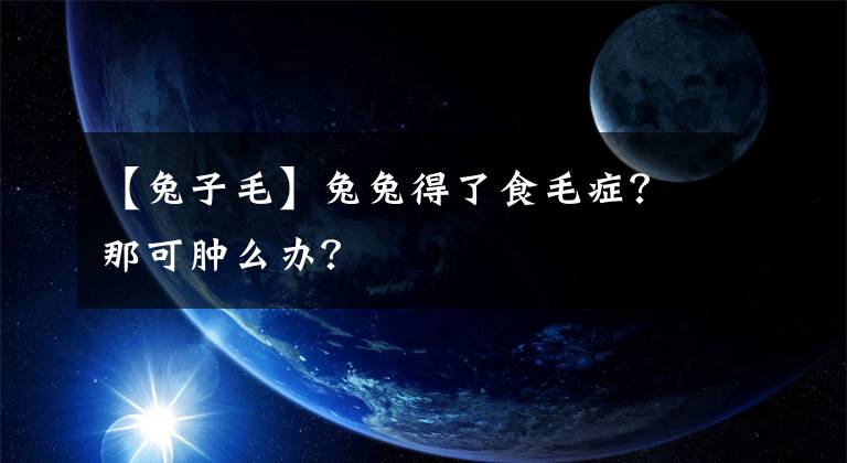 【兔子毛】兔兔得了食毛癥？那可腫么辦？