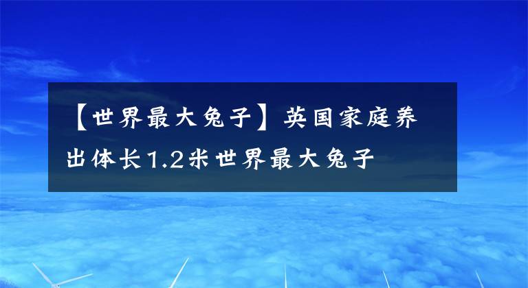 【世界最大兔子】英國家庭養(yǎng)出體長1.2米世界最大兔子