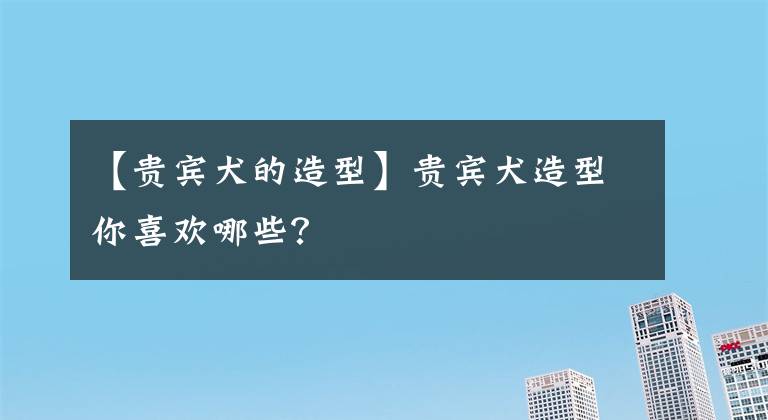 【貴賓犬的造型】貴賓犬造型你喜歡哪些？