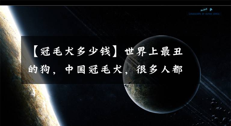 【冠毛犬多少錢】世界上最丑的狗，中國冠毛犬，很多人都沒見過!