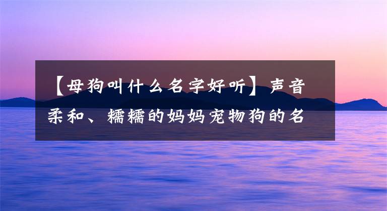 【母狗叫什么名字好聽】聲音柔和、糯糯的媽媽寵物狗的名字正合適----------------可愛