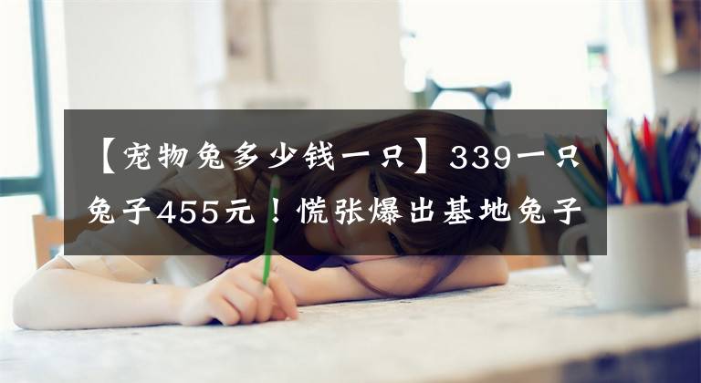 【寵物兔多少錢一只】339一只兔子455元！慌張爆出基地兔子價(jià)格！高出市價(jià)一倍