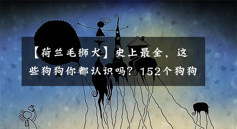 【荷蘭毛獅犬】史上最全，這些狗狗你都認識嗎？152個狗狗品種及介紹