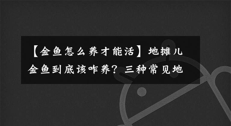 【金魚怎么養(yǎng)才能活】地?cái)們航痿~到底該咋養(yǎng)？三種常見(jiàn)地?cái)們呼~，三個(gè)養(yǎng)魚套路全搞定