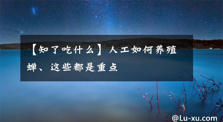 【知了吃什么】人工如何養(yǎng)殖蟬、這些都是重點