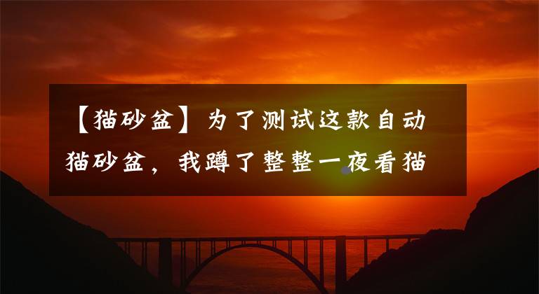 【貓砂盆】為了測(cè)試這款自動(dòng)貓砂盆，我蹲了整整一夜看貓拉屎