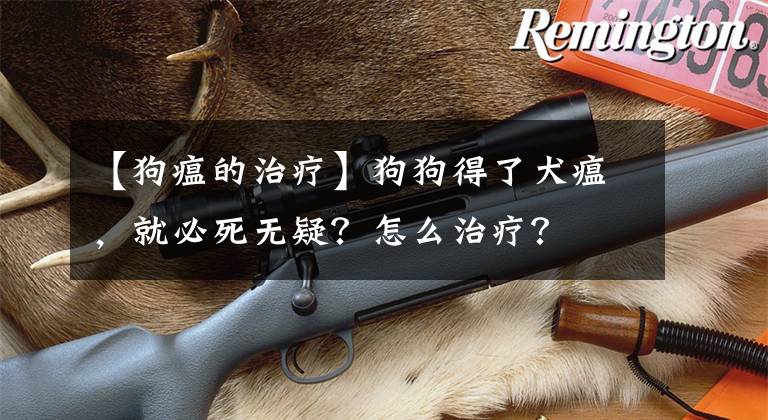 【狗瘟的治療】狗狗得了犬瘟，就必死無(wú)疑？怎么治療？