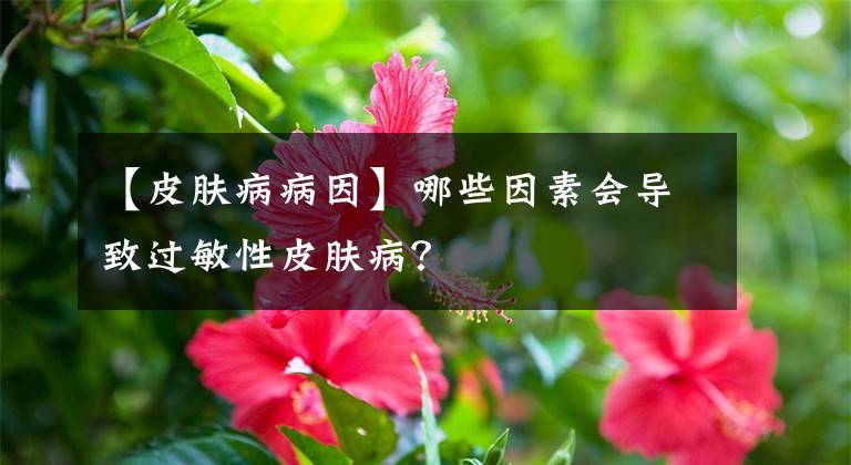 【皮膚病病因】哪些因素會(huì)導(dǎo)致過(guò)敏性皮膚??？