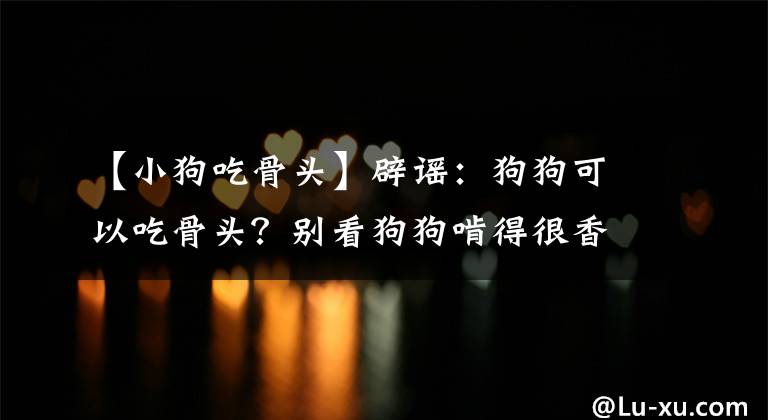 【小狗吃骨頭】辟謠：狗狗可以吃骨頭？別看狗狗啃得很香，下一秒可能就會窒息