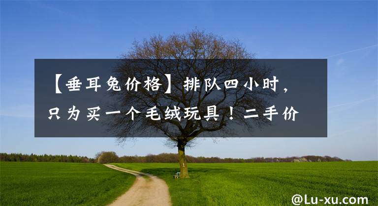 【垂耳兔價格】排隊四小時，只為買一個毛絨玩具！二手價格最高暴漲8倍，網友驚呼：這是在買愛馬仕嗎？