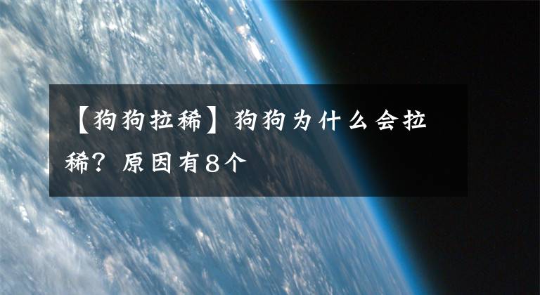 【狗狗拉稀】狗狗為什么會(huì)拉稀？原因有8個(gè)