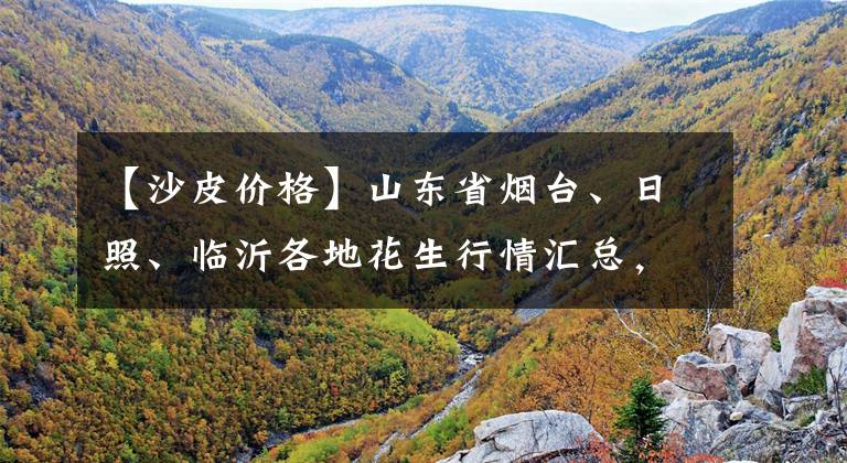 【沙皮價格】山東省煙臺、日照、臨沂各地花生行情匯總，手扒米收5.2-5.3元/斤