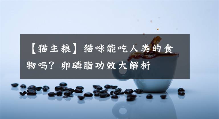 【貓主糧】貓咪能吃人類的食物嗎？卵磷脂功效大解析