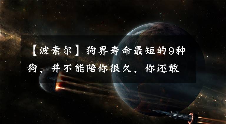 【波索爾】狗界壽命最短的9種狗，并不能陪你很久，你還敢養(yǎng)嗎？