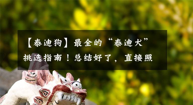 【泰迪狗】最全的“泰迪犬”挑選指南！總結(jié)好了，直接照搬