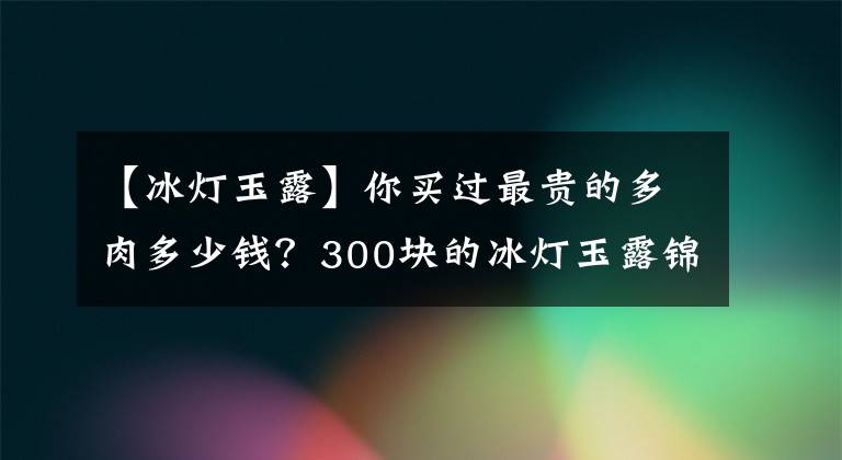 【冰燈玉露】你買過最貴的多肉多少錢？300塊的冰燈玉露錦，很多人都說不值