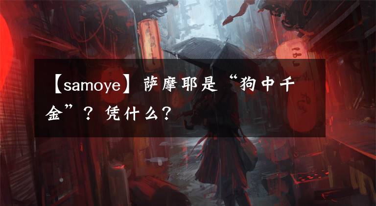 【samoye】薩摩耶是“狗中千金”？憑什么？