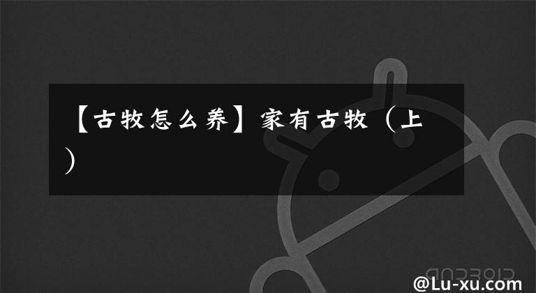 【古牧怎么養(yǎng)】家有古牧（上）