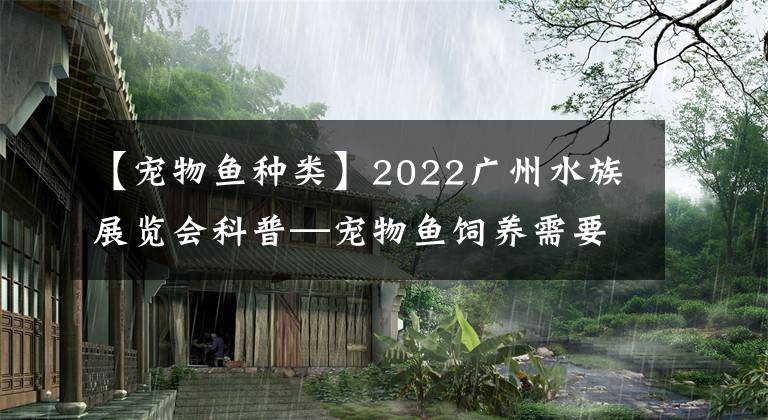 【寵物魚種類】2022廣州水族展覽會科普—寵物魚飼養(yǎng)需要了解的知識