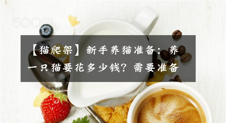 【貓爬架】新手養(yǎng)貓準(zhǔn)備：養(yǎng)一只貓要花多少錢？需要準(zhǔn)備什么才不會(huì)手忙腳亂