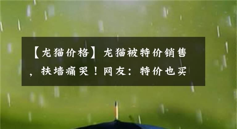 【龍貓價格】龍貓被特價銷售，扶墻痛哭！網(wǎng)友：特價也買不起