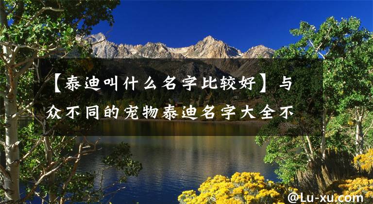 【泰迪叫什么名字比較好】與眾不同的寵物泰迪名字大全不同-可愛