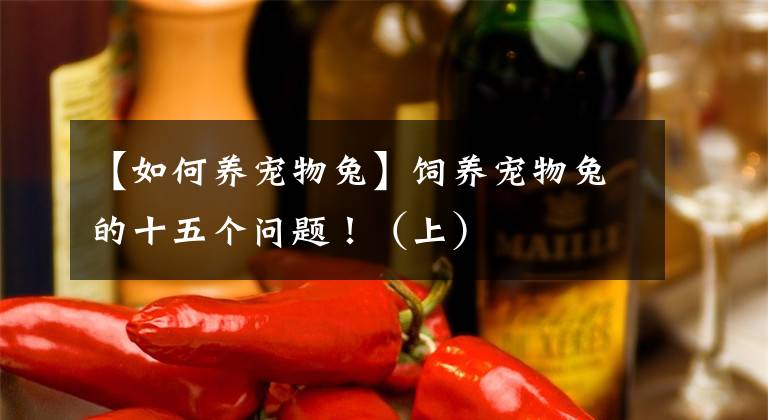 【如何養(yǎng)寵物兔】飼養(yǎng)寵物兔的十五個(gè)問(wèn)題?。ㄉ希?></a></div> <div   id=