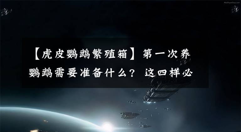 【虎皮鸚鵡繁殖箱】第一次養(yǎng)鸚鵡需要準(zhǔn)備什么? 這四樣必不可少 看看你家都有嗎？