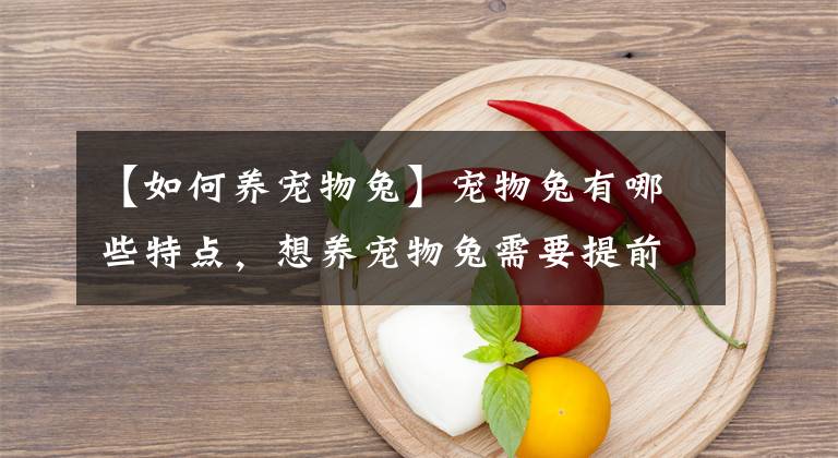 【如何養(yǎng)寵物兔】寵物兔有哪些特點，想養(yǎng)寵物兔需要提前做好哪些準(zhǔn)備？