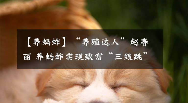 【養(yǎng)螞蚱】“養(yǎng)殖達(dá)人”趙春麗 養(yǎng)螞蚱實(shí)現(xiàn)致富“三級(jí)跳”