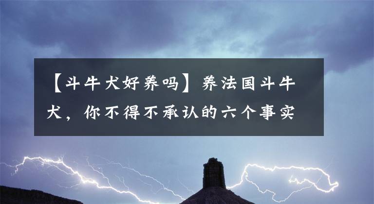 【斗牛犬好養(yǎng)嗎】養(yǎng)法國斗牛犬，你不得不承認(rèn)的六個(gè)事實(shí)