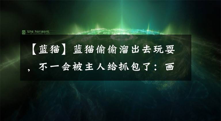 【藍(lán)貓】藍(lán)貓偷偷溜出去玩耍，不一會(huì)被主人給抓包了：畫(huà)面過(guò)于熟悉了