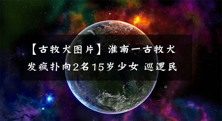 【古牧犬圖片】淮南一古牧犬發(fā)瘋撲向2名15歲少女 巡邏民警果斷擊斃