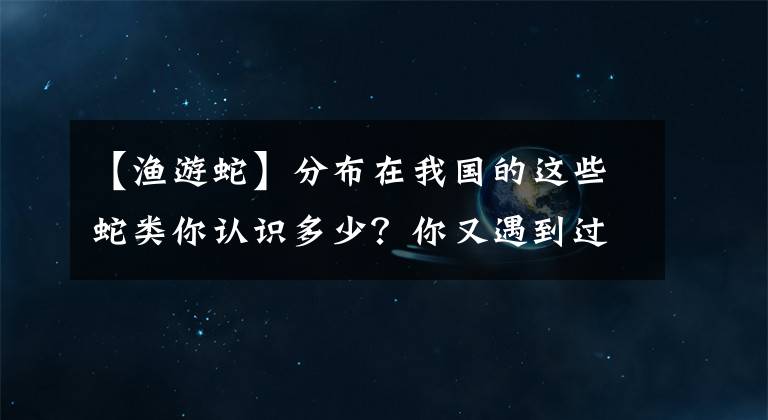 【漁游蛇】分布在我國的這些蛇類你認識多少？你又遇到過哪些？