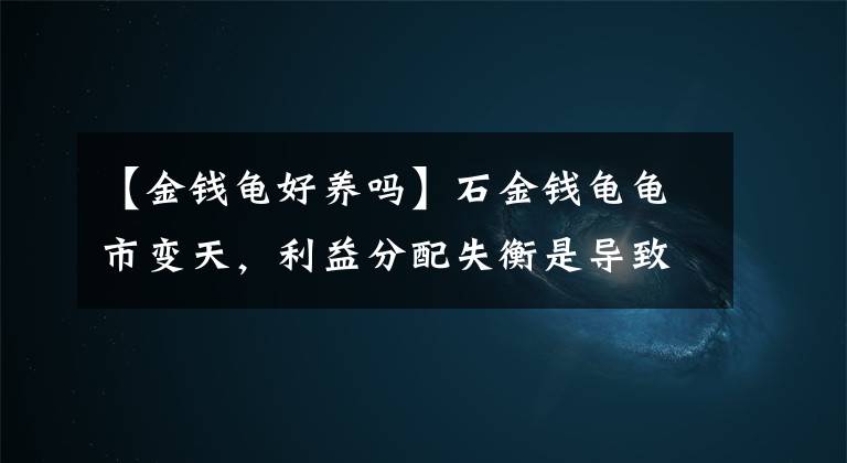 【金錢龜好養(yǎng)嗎】石金錢龜龜市變天，利益分配失衡是導致越冬耗損率高的罪魁禍首？