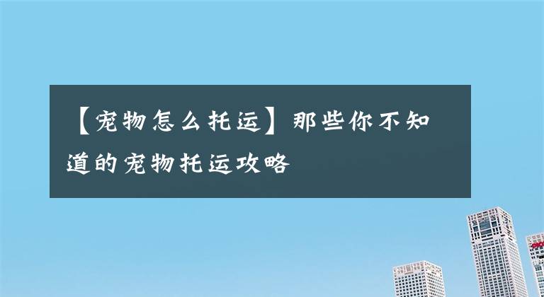 【寵物怎么托運】那些你不知道的寵物托運攻略