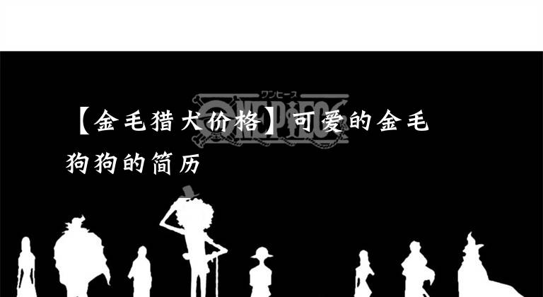 【金毛獵犬價格】可愛的金毛狗狗的簡歷