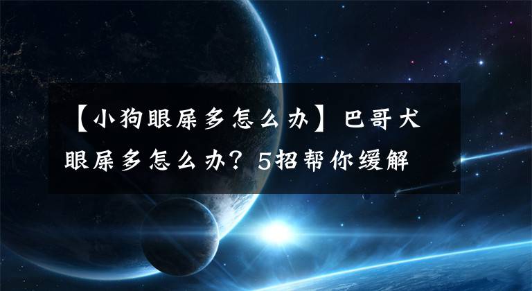 【小狗眼屎多怎么辦】巴哥犬眼屎多怎么辦？5招幫你緩解