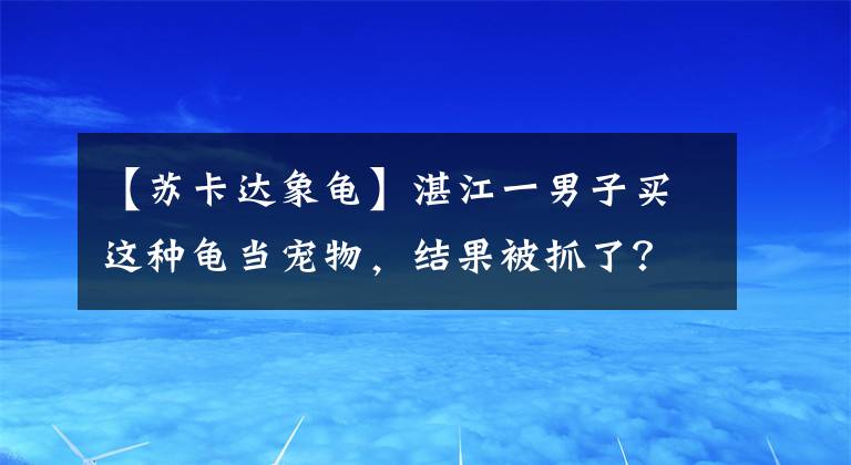 【蘇卡達(dá)象龜】湛江一男子買(mǎi)這種龜當(dāng)寵物，結(jié)果被抓了？