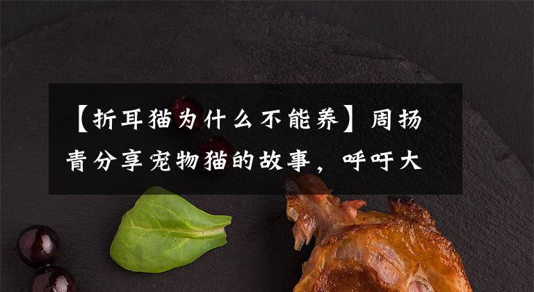 【折耳貓為什么不能養(yǎng)】周揚(yáng)青分享寵物貓的故事，呼吁大家不要養(yǎng)折耳貓，對(duì)寵物負(fù)責(zé)到底