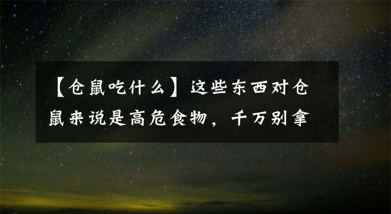 【倉鼠吃什么】這些東西對倉鼠來說是高危食物，千萬別拿來喂倉鼠，可能會害死它