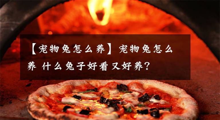 【寵物兔怎么養(yǎng)】寵物兔怎么養(yǎng) 什么兔子好看又好養(yǎng)？