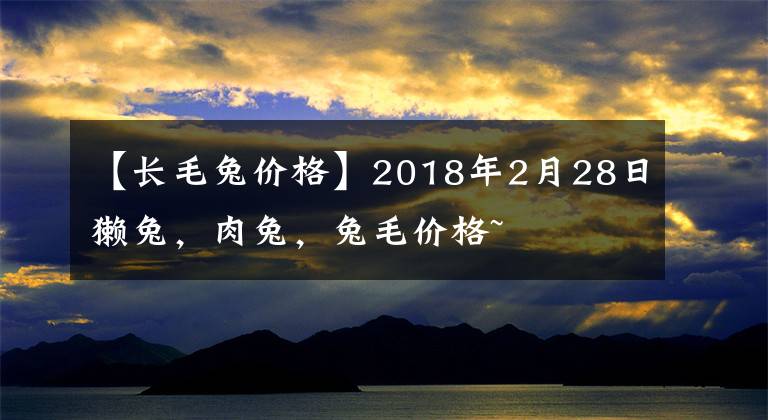 【長(zhǎng)毛兔價(jià)格】2018年2月28日獺兔，肉兔，兔毛價(jià)格~