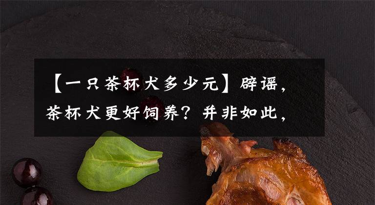 【一只茶杯犬多少元】辟謠，茶杯犬更好飼養(yǎng)？并非如此，它們是人工繁育下的悲哀