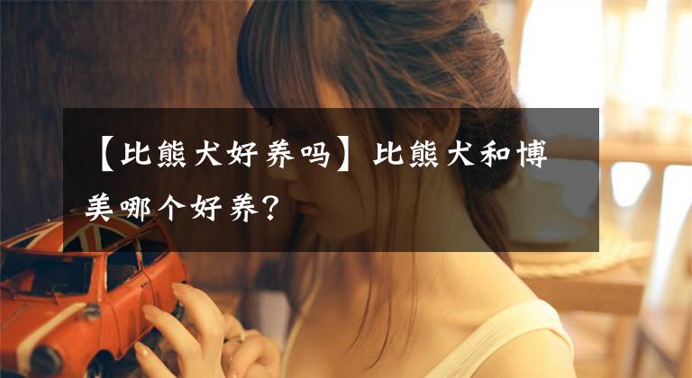 【比熊犬好養(yǎng)嗎】比熊犬和博美哪個(gè)好養(yǎng)？