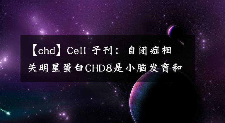 【chd】Cell 子刊：自閉癥相關(guān)明星蛋白CHD8是小腦發(fā)育和運(yùn)動(dòng)功能所必需的