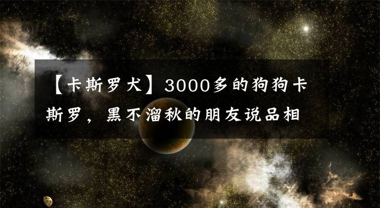 【卡斯羅犬】3000多的狗狗卡斯羅，黑不溜秋的朋友說品相不值