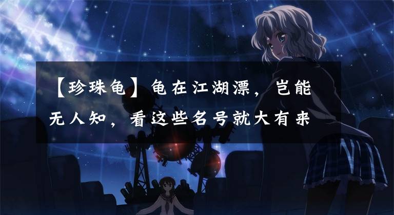 【珍珠龜】龜在江湖漂，豈能無人知，看這些名號就大有來頭