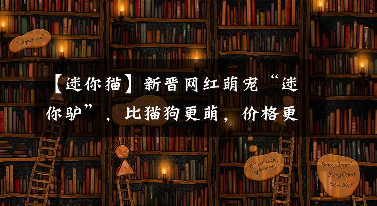 【迷你貓】新晉網(wǎng)紅萌寵“迷你驢”，比貓狗更萌，價(jià)格更是高達(dá)2萬(wàn)